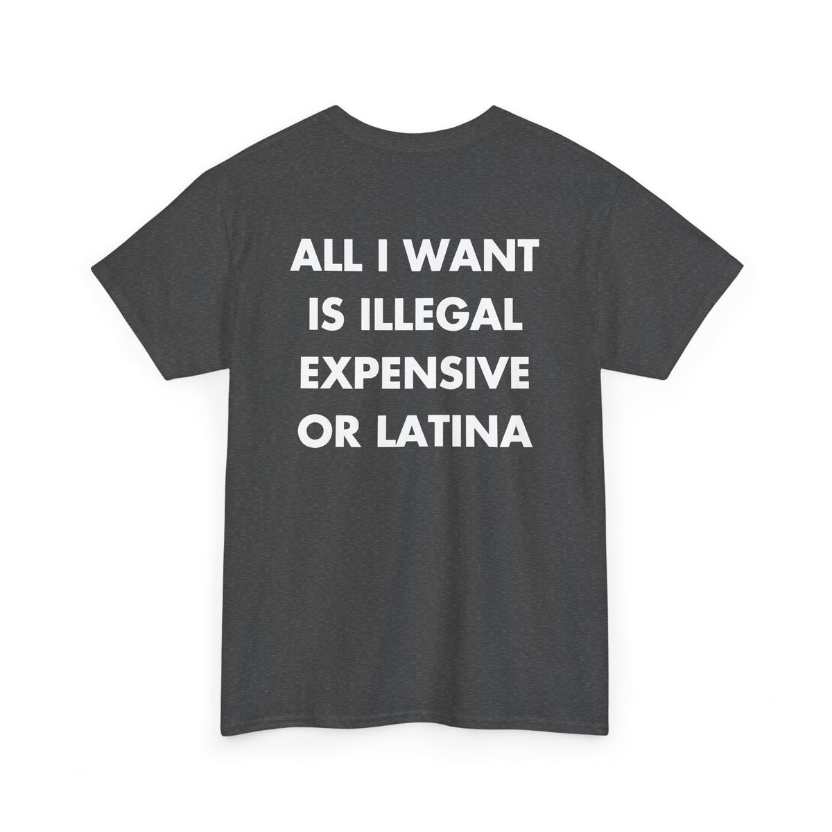 Dark Heather T-shirt with ALL I WANT IS ILLEGAL EXPENSIVE OR LATINA back print