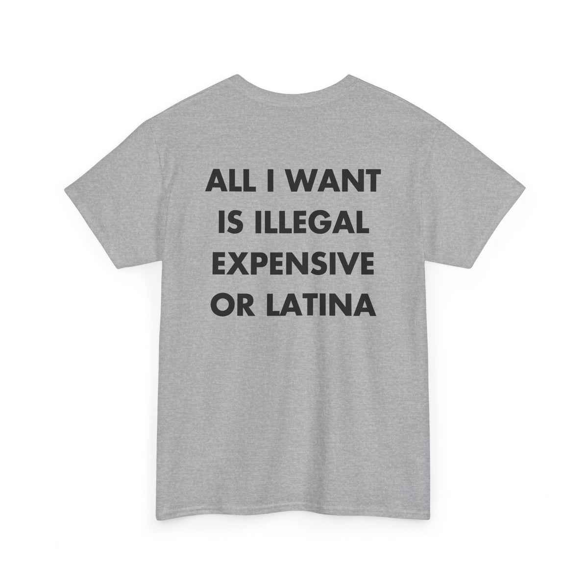 Sport Grey T-shirt with ALL I WANT IS ILLEGAL EXPENSIVE OR LATINA back print