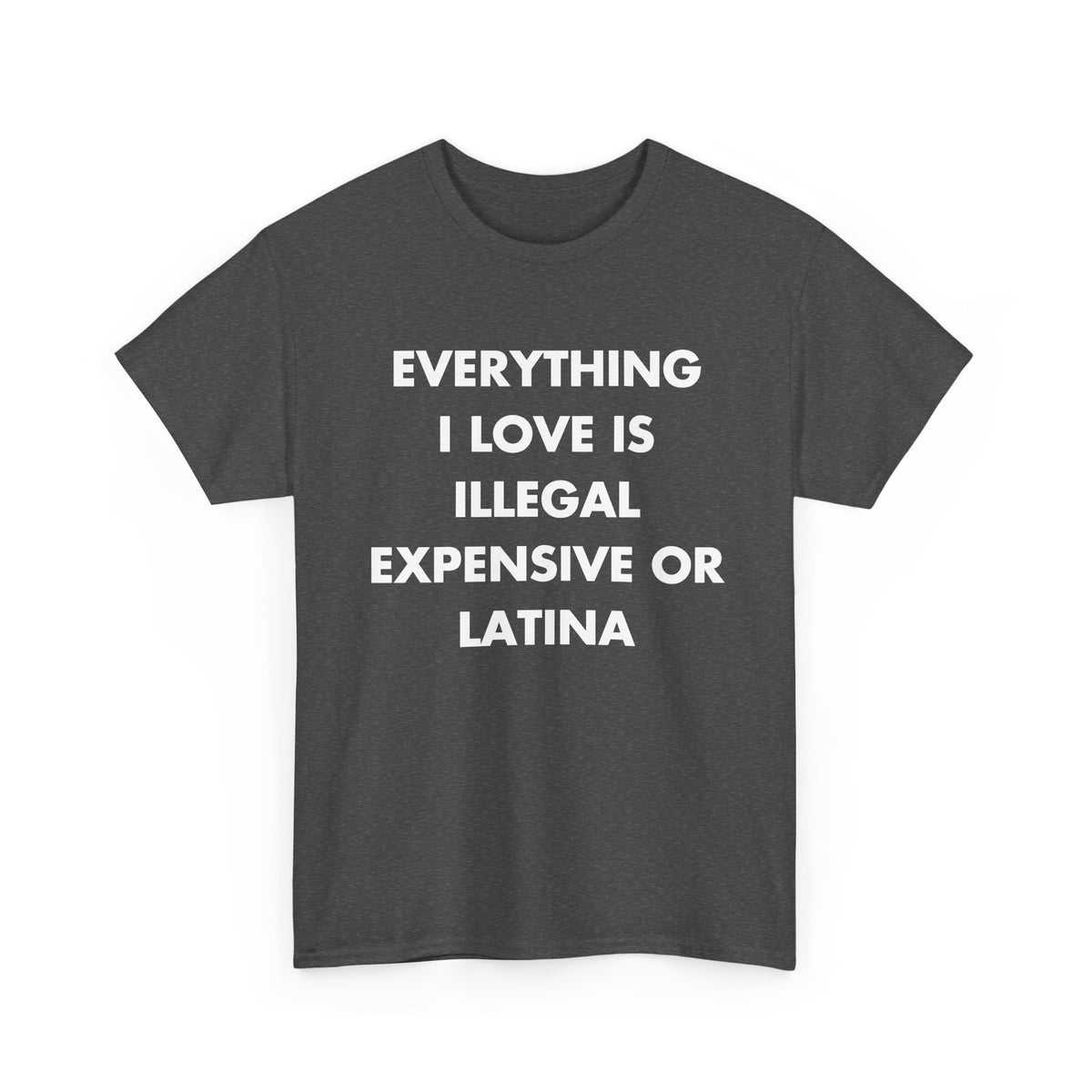 Dark Heather T-shirt with EVERYTHING I LOVE IS ILLEGAL EXPENSIVE OR LATINA front print