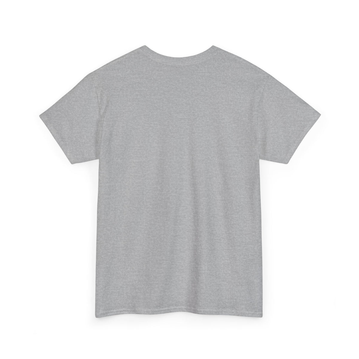 Sport Grey T-shirt, plain back – EVERYTHING I LOVE IS ILLEGAL EXPENSIVE OR LATINA design is printed on the front