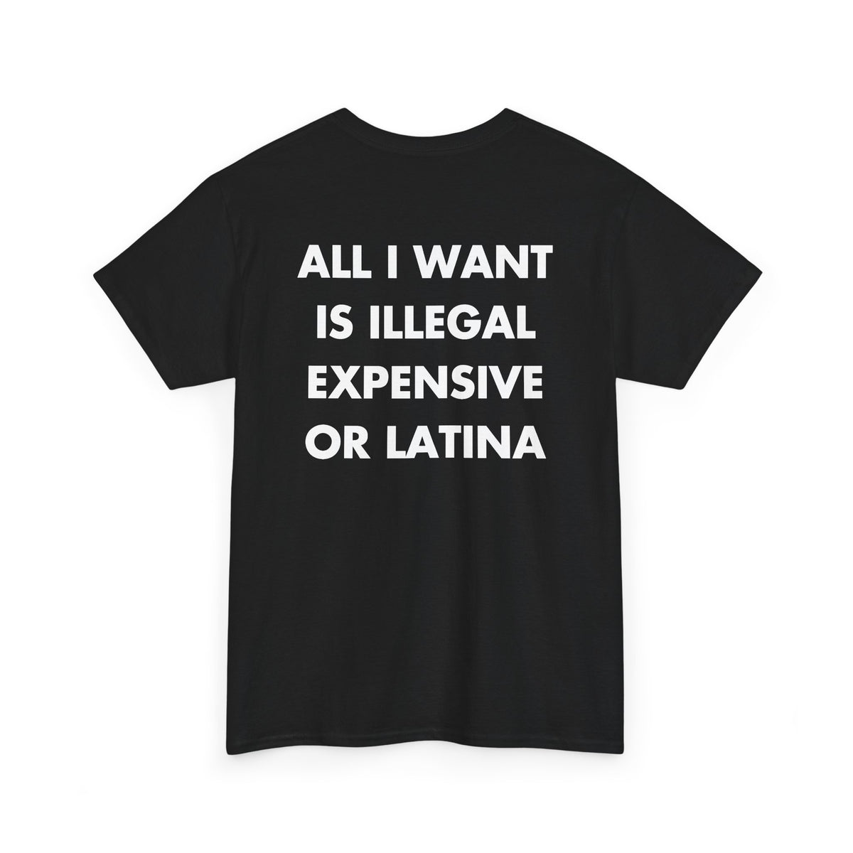 Black T-shirt with ALL I WANT IS ILLEGAL EXPENSIVE OR LATINA back print