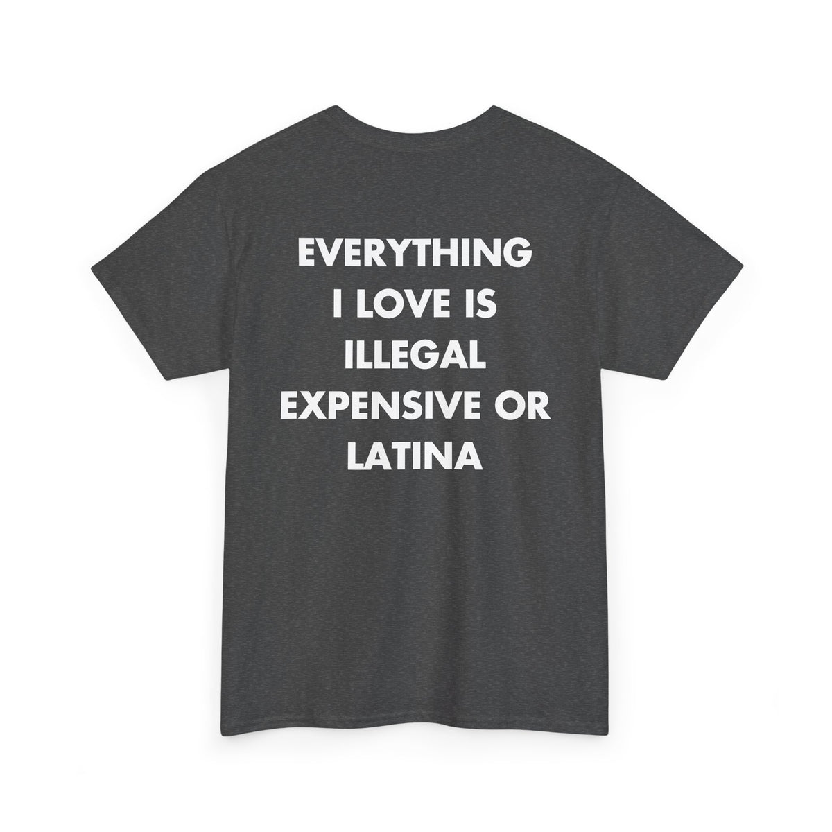 Dark Heather T-shirt with EVERYTHING I LOVE IS ILLEGAL EXPENSIVE OR LATINA back print
