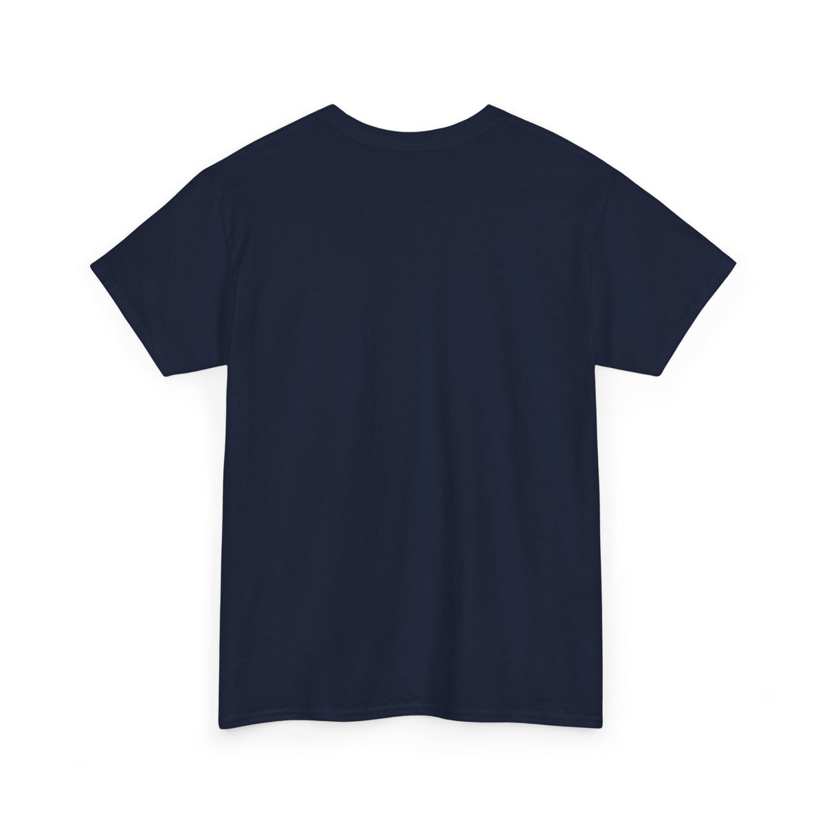 Navy T-shirt, plain back – EVERYTHING I LOVE IS ILLEGAL EXPENSIVE OR LATINA design is printed on the front