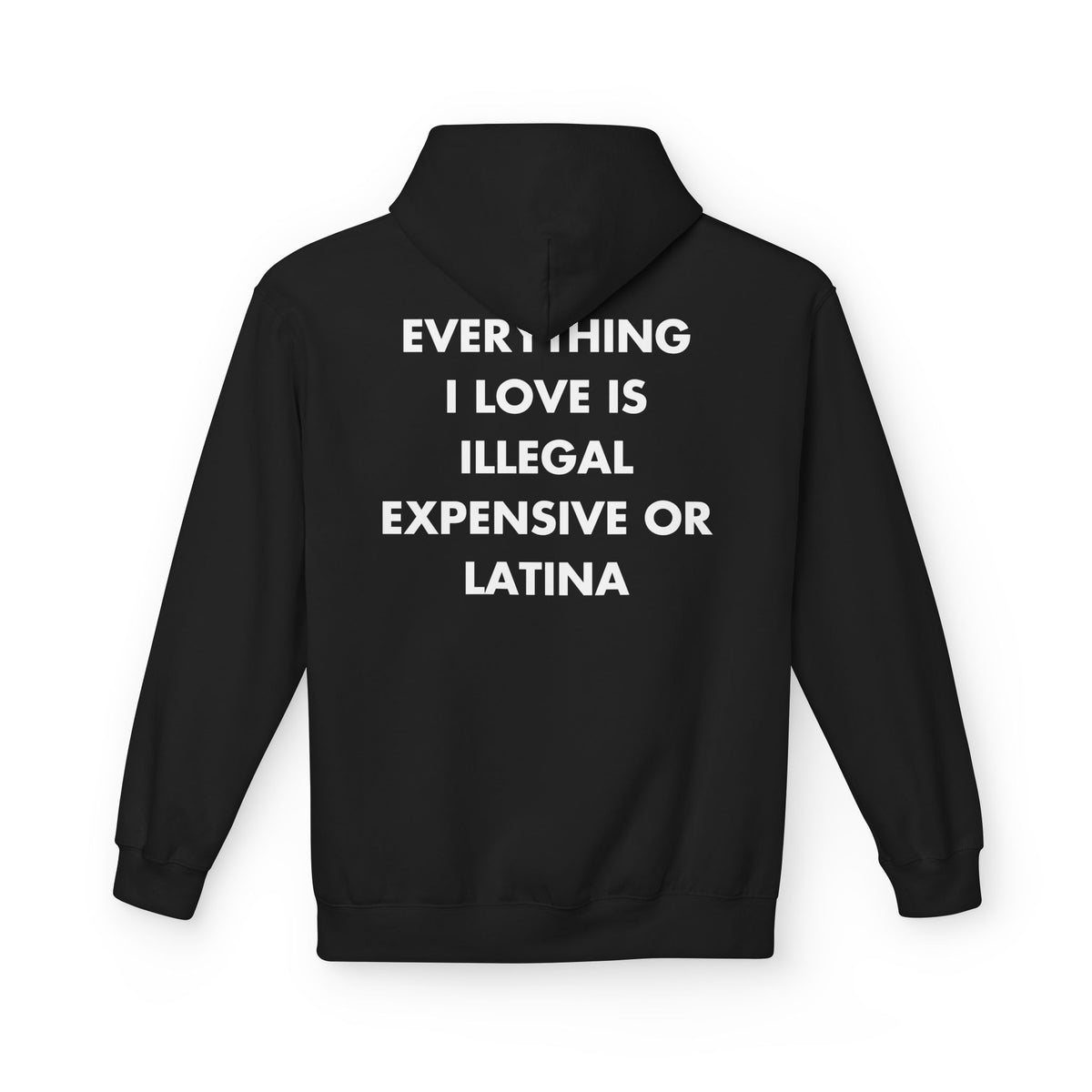 Black hoodie with EVERYTHING I LOVE IS ILLEGAL EXPENSIVE OR LATINA back print
